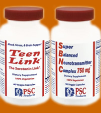 Click here for more information about TeenLink + SBNC